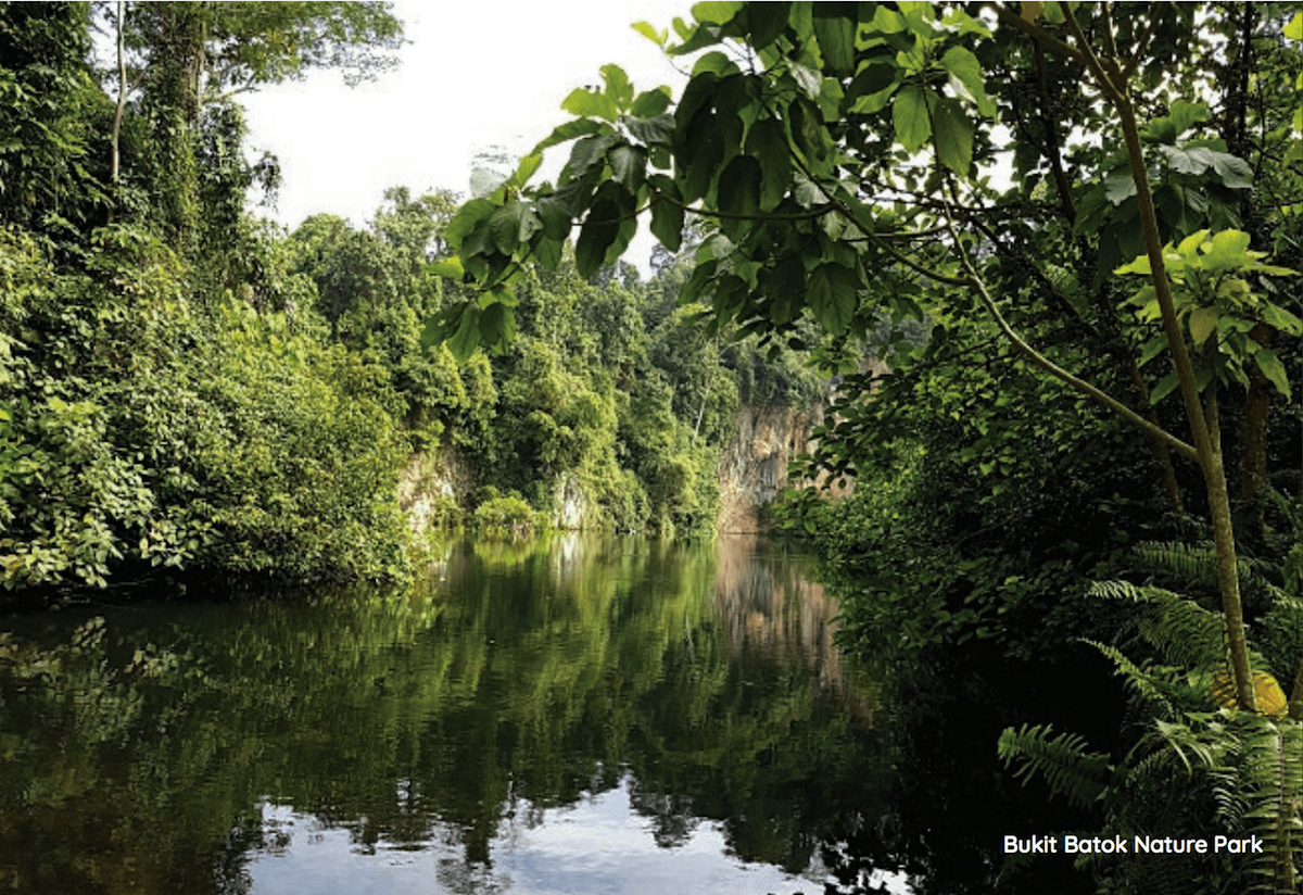 Bukit Batok Nature Park, located in proximity to Lumina Grand EC, a luxury residential project by CDL on Bukit Batok West Avenue 5, Singapore.